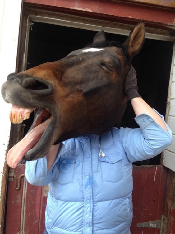 caballo se atraviesa en la cara de la persona y parece que esta riendose