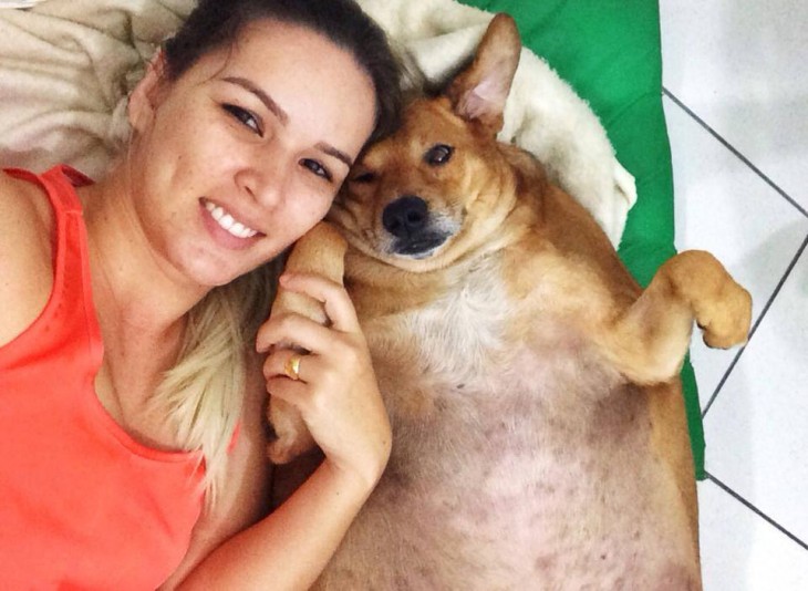 perro obeso junto a su dueña 