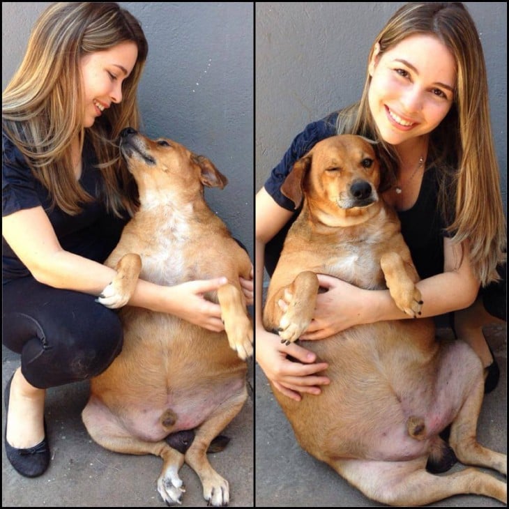 chica abrazando a un perro obeso de brasil 