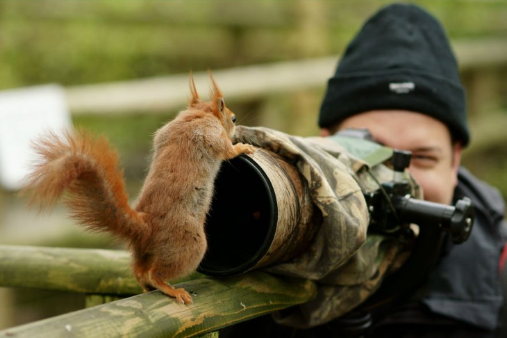 Un chico tomando una fotografía a una ardilla que esta demasiado cerca de la cámara 