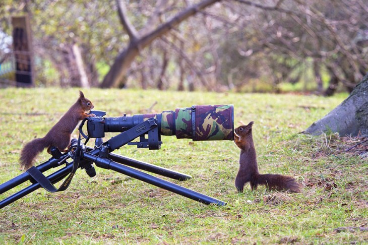 una ardilla frente un lente de una cámara fotográfica 