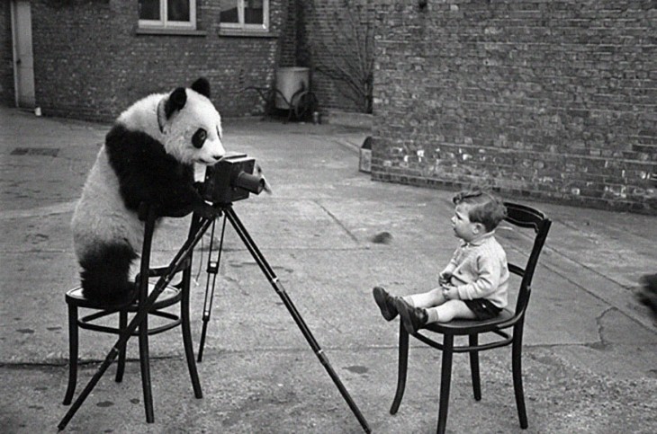 Panda simulando que esta tomando una foto a un niño sentado en una silla 