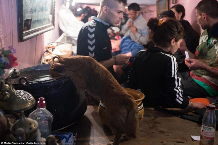 prro comiendo de la hoya de los que viven en los tuneles de rumania