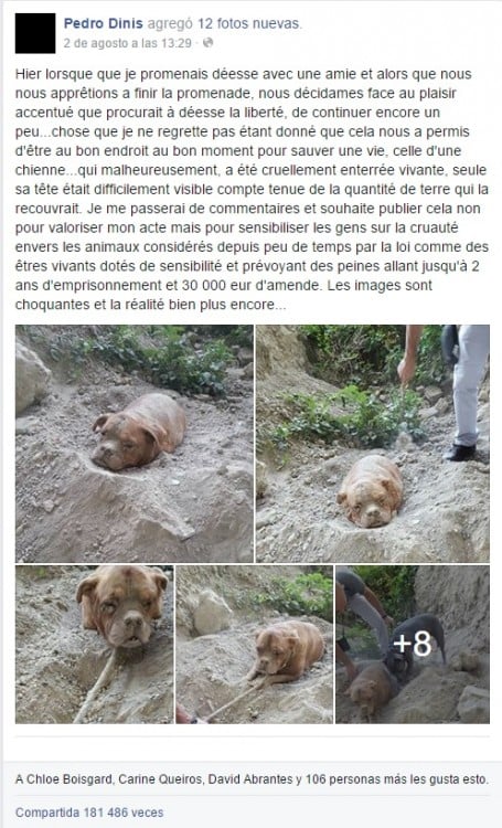 historia de la perrita en facebook