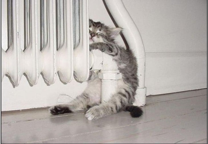 gatotp dormido en la calefacción