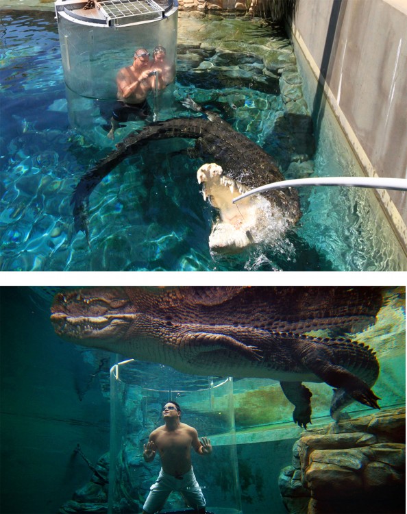 Crocosaurus Cove