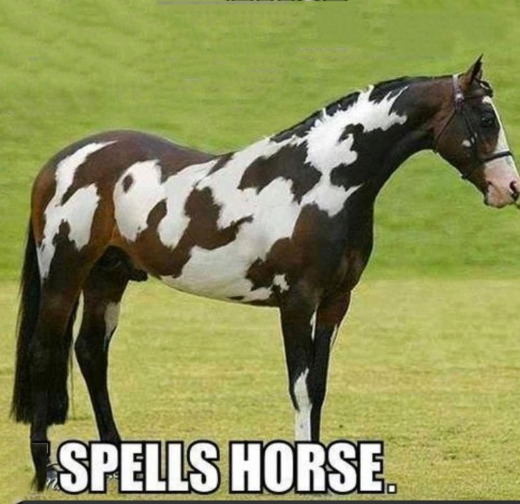 caballo con la palabra caballo en el pelaje