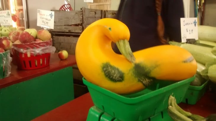 verdura que parece un pato