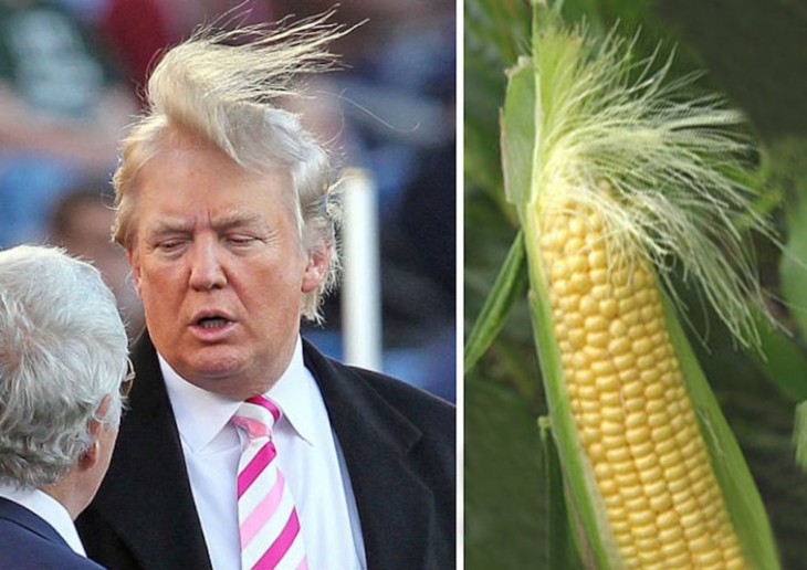 este ya es un clasico donald trump con un elote