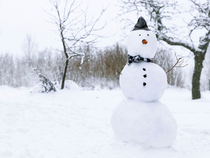 UN MUÑECO DE NIEVE MÁS NORMAL QUE CUALQUIER OTRO