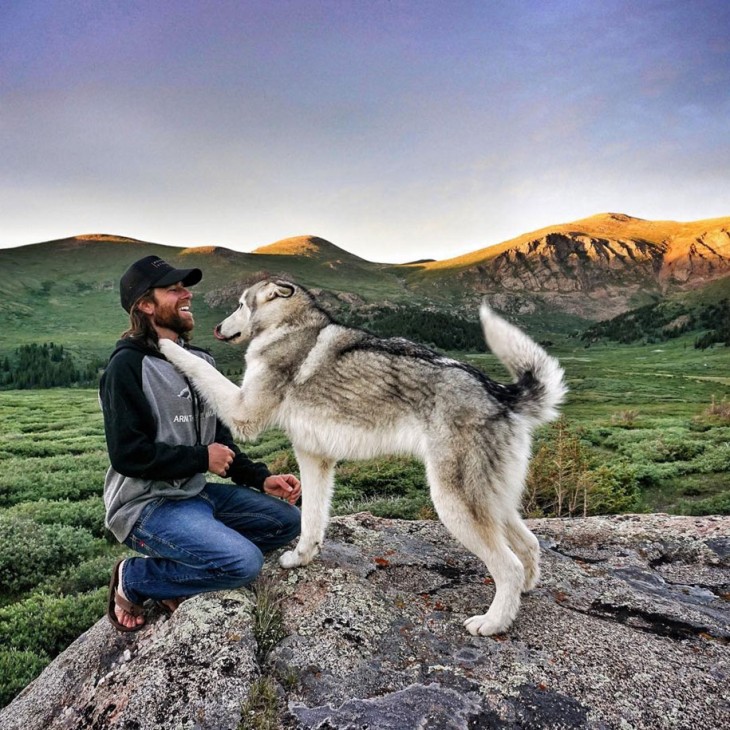 Perro lobo poniendo su pata en el pecho de su dueño Kelly 