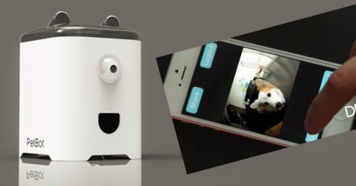 La tecnologías y Gaggets ya no solo de limitan a uso social entre humanos ahora el PtBot es una herramienta para interactuar con tu mascota de manera virtual