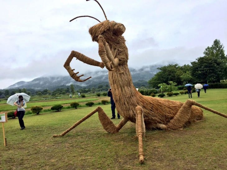 una cigarra hecho de madera y pja