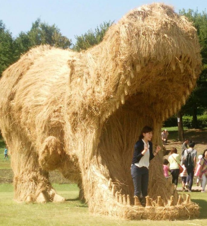 turistas japoneses se dan cita en este lugar para apreciaar el arte en niigata