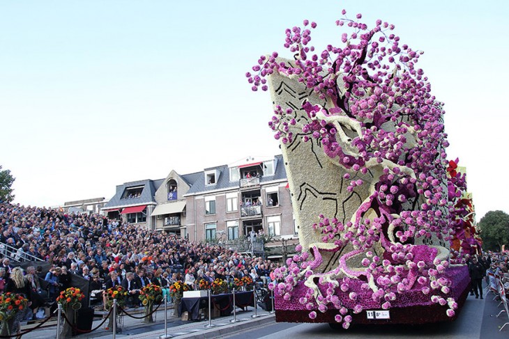 Carro alegórico adornado con flores de dahlia