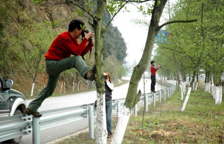 fotógrafo arriba entre un árbol y una cerca cerca de la carretera 