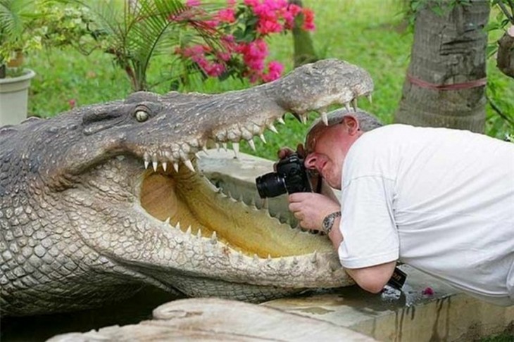 hombre tomando una fotografía adentro del hocico de un cocodrilo 