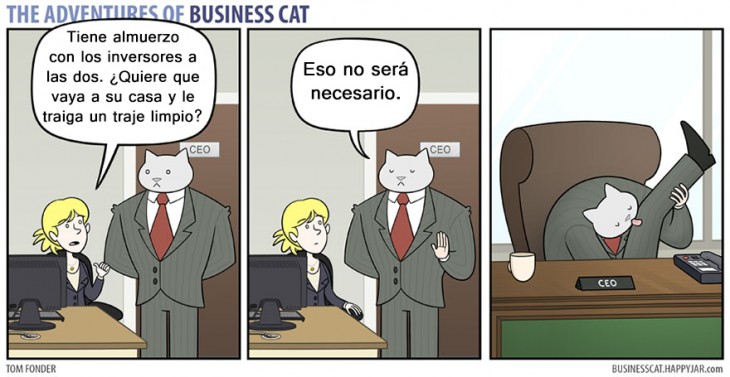 GATO RENEGANDO CON SU SECRETARIA