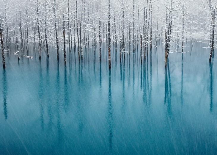 Fotografía del Estanque azul en Japón 