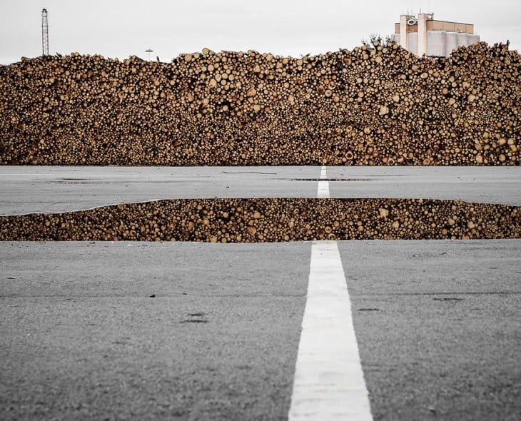 Pila de troncos de madera frente a una carretera 