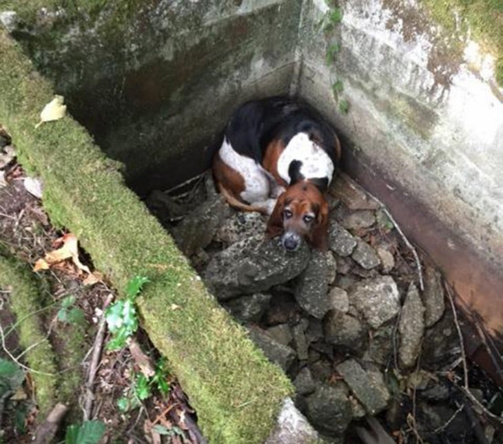 PHOBE ATRAPADA EN EL POZO SIN AGUA SIN PODER SALIR