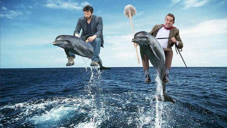 Photoshop de Mr. Bean con Keany sobre delfines 