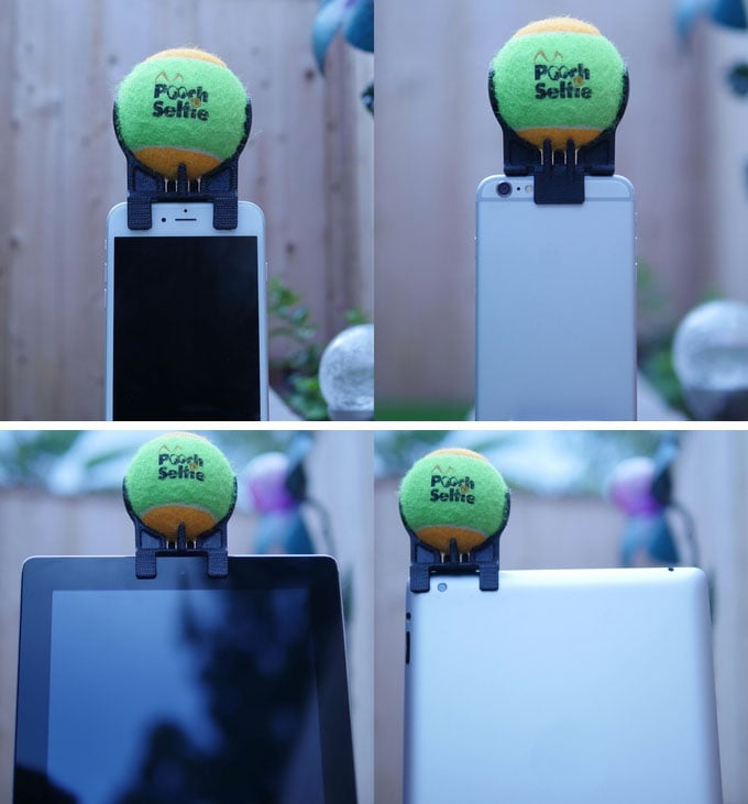 Celulares y tablets con el pooch selfie 