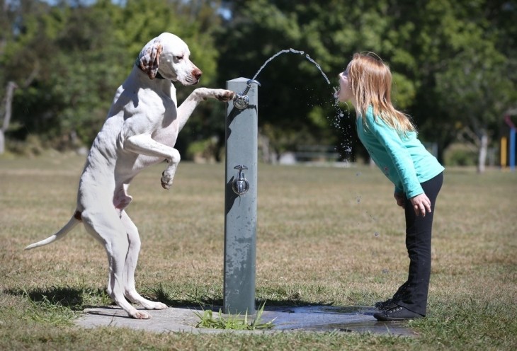 FOTO ORIGINAL DE LA NIÑA CON EL PERRO