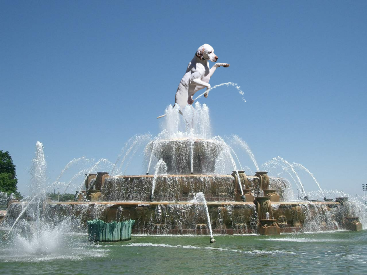 perro como la estatua de barkinham