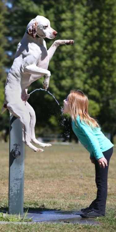 NIÑA TOMANDOSE LA PIPI DEL PERRO