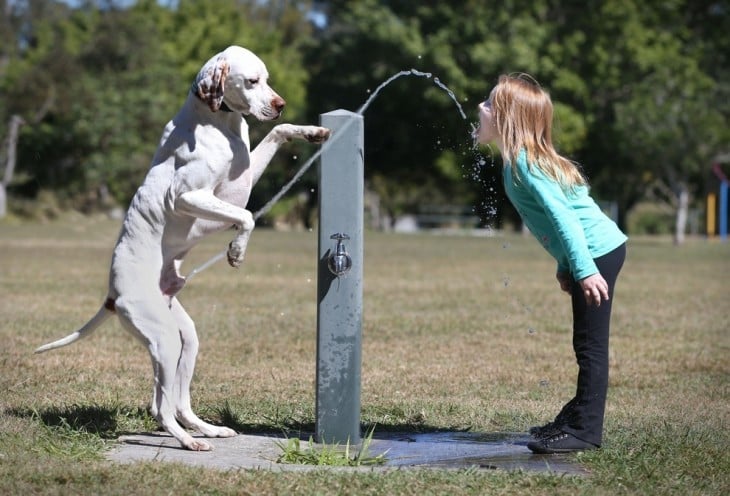 perro dándole pipí a la niña para tomar