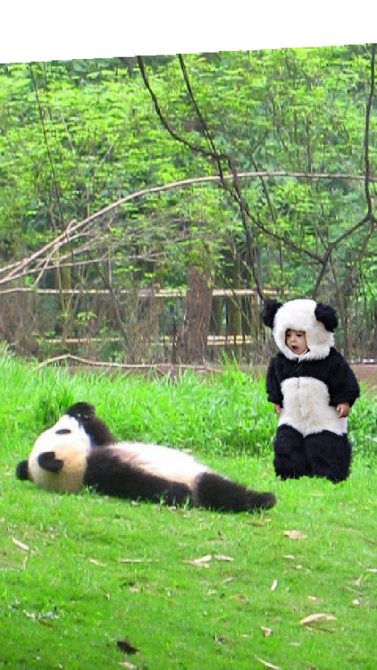 pandita viendo al cielo mientras niño llega a verlo