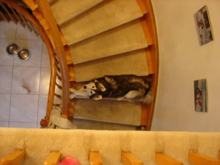 TALLY EN LAS ESCALERAS DE SU CASA