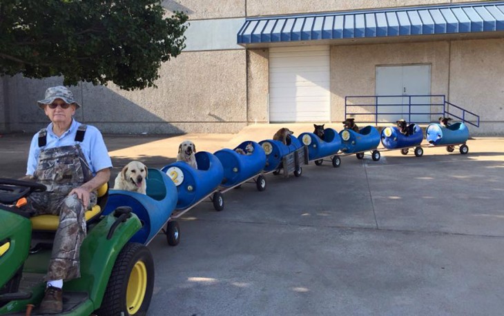 Hombre manejando un tractor que lleva un tren de remolques con perros 