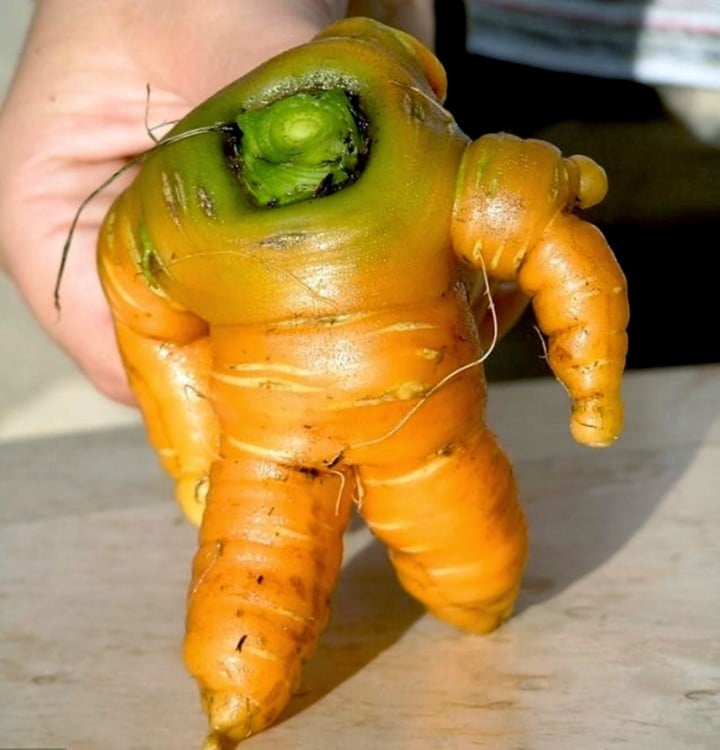 zanahoria con forma de astronauta 