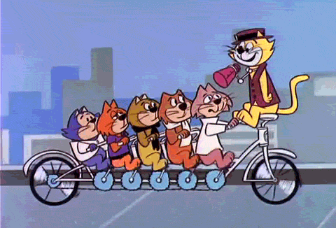 don gato y su pandilla en un bicicleta