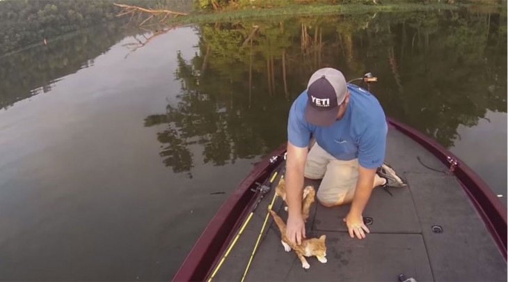 gatitos rescatados por dos pescadores en obama