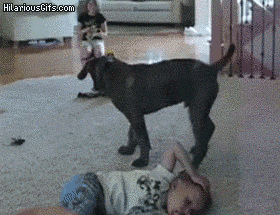 gif de perro poniendole el trasero a un niño en la cara para que no se mueva