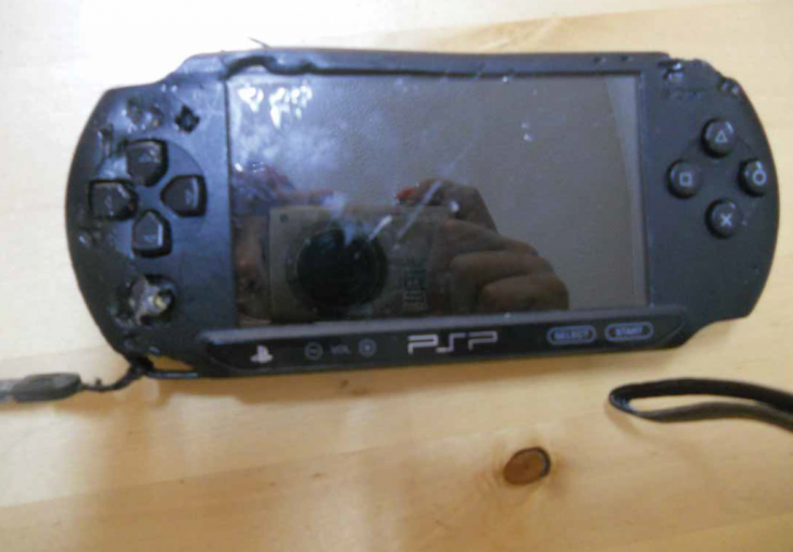 psp mordido y partido por un perro