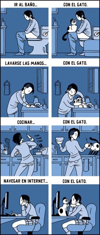 comic sobre como es la vida junto a un gato