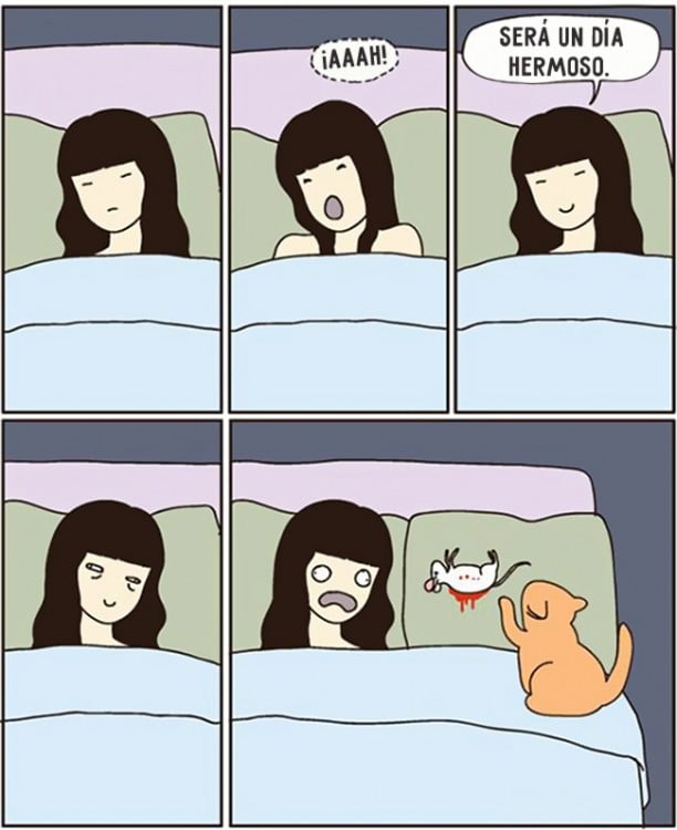 comic sobre como es que un gato te trae un raton a tu cama para demostrarte cuanto es que te ama