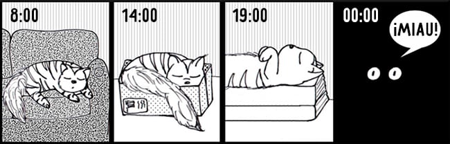 comic sobre las horas de dormir de un gato
