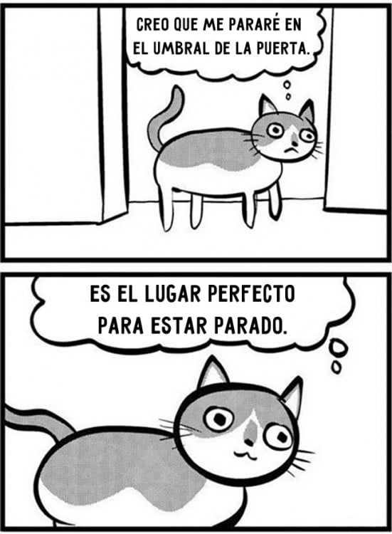 comic sobre lo que piensa un gato