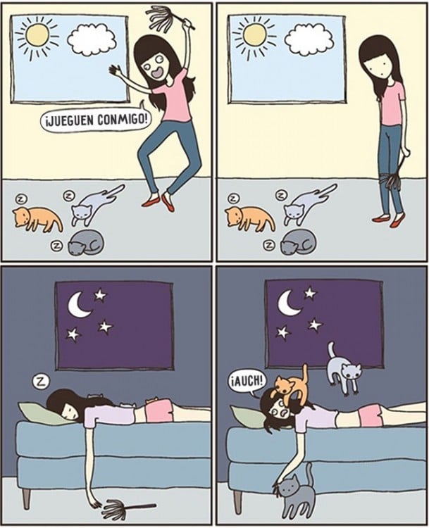 comic de como un gato seescapa y llega siempre por las madrugadas