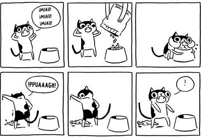 comic mostrando como es la forma de comer de un gato