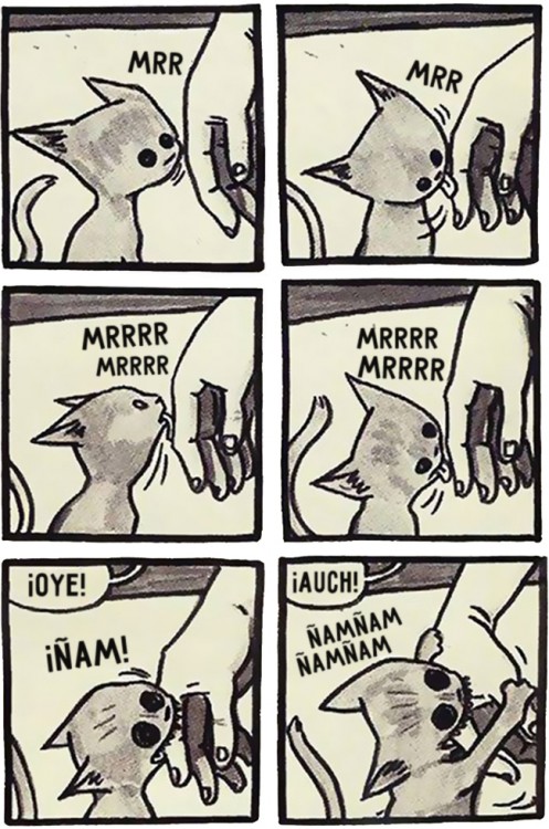 comic de como es que un gato comienza por lamerte la mano y termina mordiendote los dedos