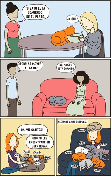 comic sobre la logica de como duermen los gatos
