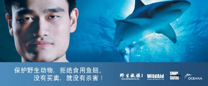 Yao Ming contra la caza furtiva de tiburones. 77 MILLONES DE TIBURONES SON CAZADOS ANUALMENTE EN CHINA PARA COMER SU ALETA