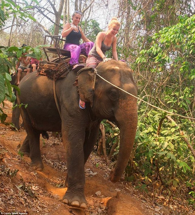 Dos chicas arriba de un elefante en la selva 