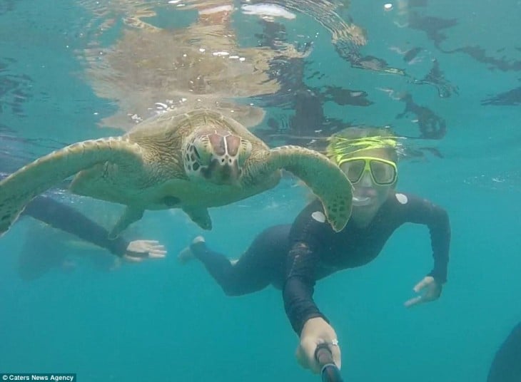 selfie de una chica buceando a lado de una tortuga 